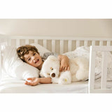 V7HD4B3237EDCBBE92A48AB66279B1E31B9R6823311P3