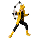 V7H5ED27E5048BCCB78A5DDA167E710667ER3942212P9