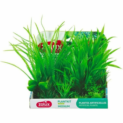 Planta Decorativa Zolux