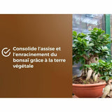 V2H338C5B0C878C1B356285F60ABACE8D01R6736619P6