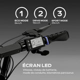 V4HF442131F956B6E503B77E3DA40FCFCA4R6685386P9