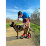 V4H2BA5DD756F896733D62A967564454736R5293612P5