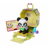 V6H2C37B4C6ACBEA29EB5172DA564EF2BBFR5455081P6