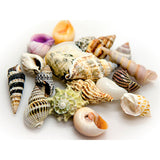 V6H8A344B5B8A8289E92DF75597CB952950R7450817P1