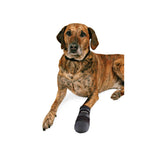 V3HC77E13FD0BA49B99C71A9F598C50640CR7440591P3