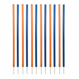 V4H0E1D33632766FA60CE1E5A698BCAF1E9R5763181P1