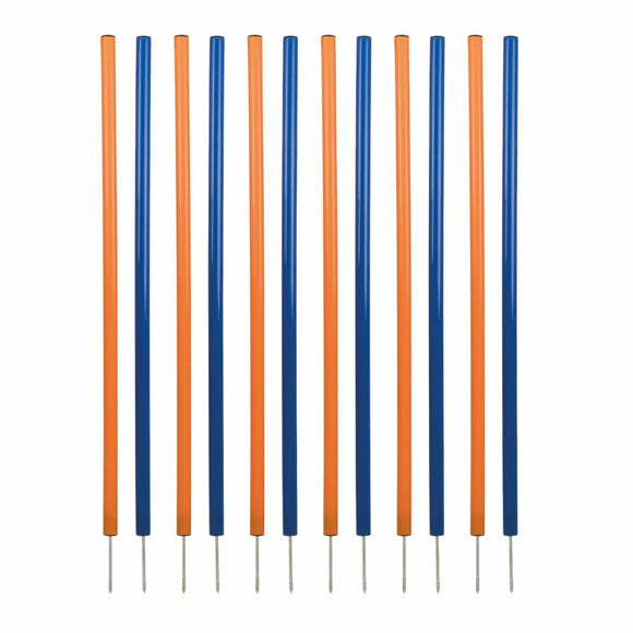 V3H0E1D33632766FA60CE1E5A698BCAF1E9R5763181P1