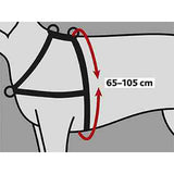 V6HE62A0C77FD9BBE56396691DB3F762E7BR7441896P2