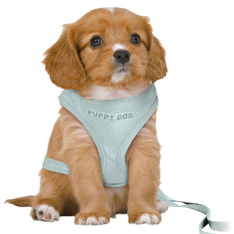Arnés para Perro Trixie Junior Menta M/L