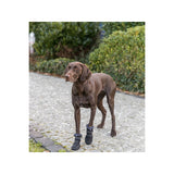 V3H021DAD93BC1E7D1CEB84C67339B24440R7451786P7