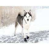 V3HA095589771909CE87CA612543B1123ACR7439897P3