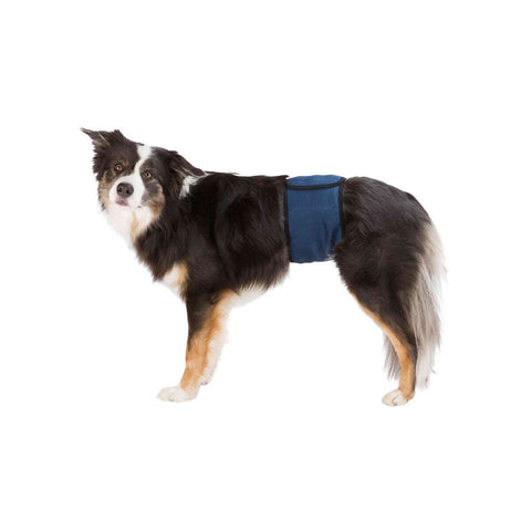 Cinghia Trixie 45-55 cm Maschio Addome