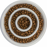 V9H3D449687D94F520C471C84C318623154R7455075P6