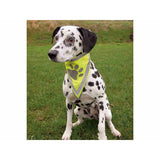 V4H3EA4740565B3F40D2110249847CDA683R7440226P3