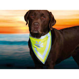 V4HD599EF489754C16536BE7CD305760F19R7440309P5