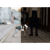 V3H7FFD28AECEC4C72CB4EB550B8531E696R7461535P10