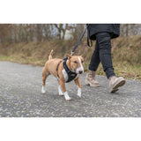 V3H4BA2097E6B7C1E23BDB5111D9E4DEA54R7451938P7