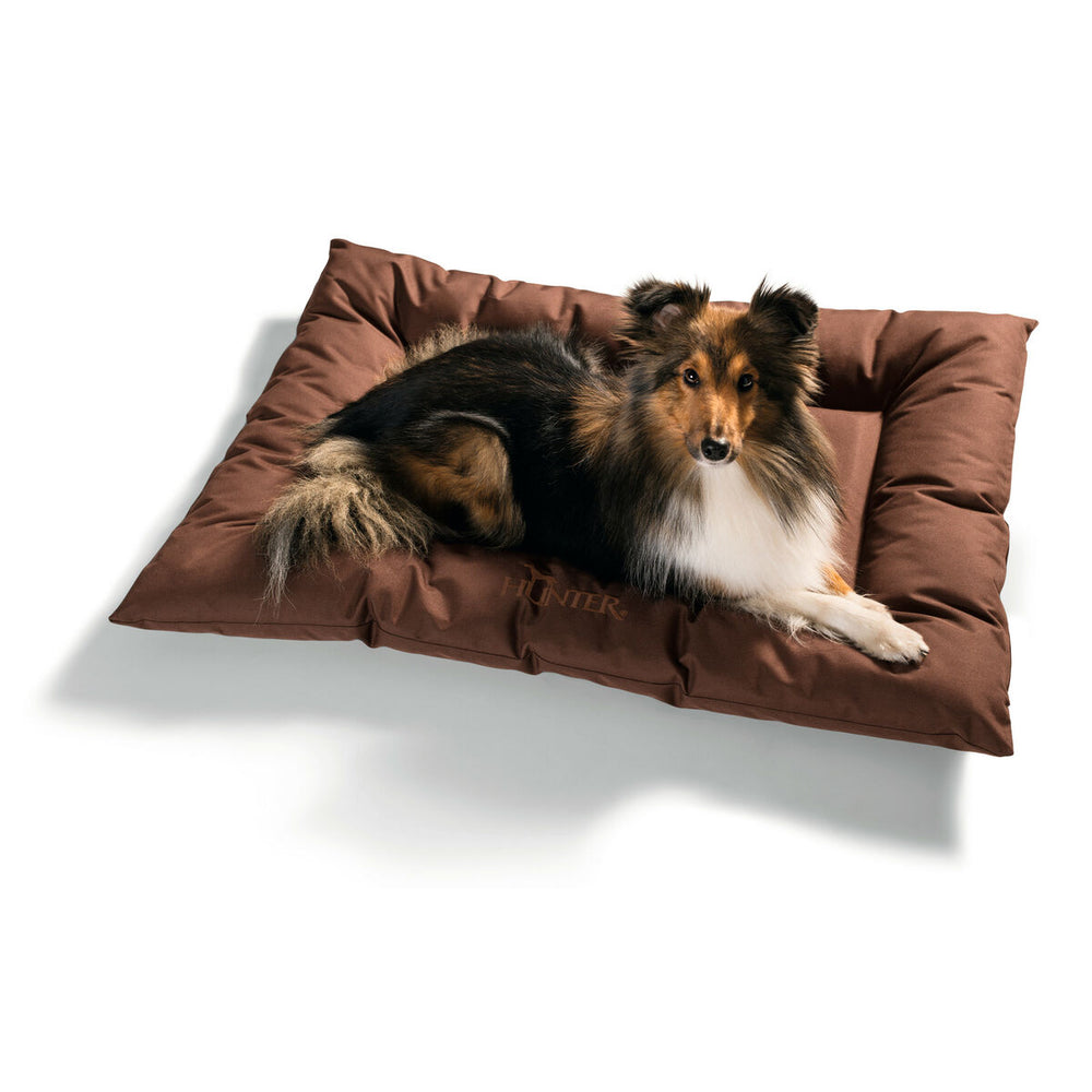 Cuccia per Cani Hunter Gent Marrone 100 x 70 cm Antibatterico