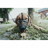 V8H771AF0D33BF194EEA2063116AC0CB767R4389382P2