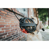 V10H8AB3354EEBF50964B6CFB451C2FBA561R4389384P3