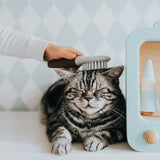 V11H66E6C00C3C3A56D39CEB2481D184AC19R4267965P3