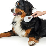 V10HDC1E4F4F9475A1652A878A81C7F37160R4014051P4