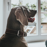 V10H24F628AE1CC76376A9D53A9F92048E2DR1561426P3