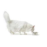 V7HCE6EA4DFABC93B3978D2B2629D796FA2R4438106P3