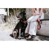 V5H0EAE62D8627A54364F14DBD59C6B5F2BR4393779P3