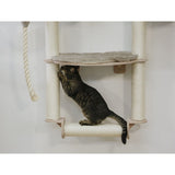 V2H6C5C9B92E91FDC67C831D830BD9BF9F9R7479784P6