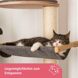 V2HD6F376C397213B6C019D9DD48EC2B98FR7479932P5