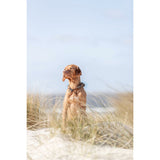 V6HAEFD27DE998AA4C8A581C92B609FE7C8R5330128P10