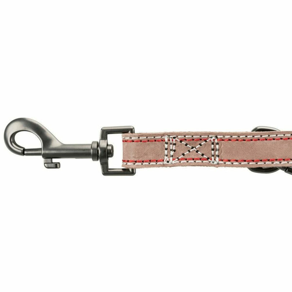 Guinzaglio per Cani Trixie Marrone M/L 2 m