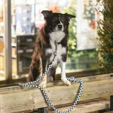 V6H4669309BE9667ECF2675FB29C42F32DDR5329950P4