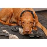 V7HC59FB77ECFAD880489759A577206EC99R5330289P4