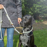 V7H158A4EB2C58286FF9F5DEDC800F896A3R5330836P4