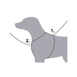 V5H4A870543FBEA41A4A3819E1FFD7C7D88R7458955P3