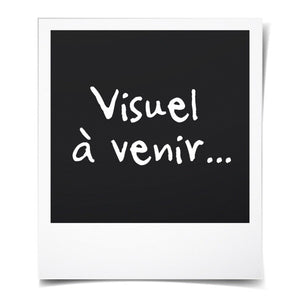 V2HF15841E75E29652CD3123F5980A336AER7424592P1