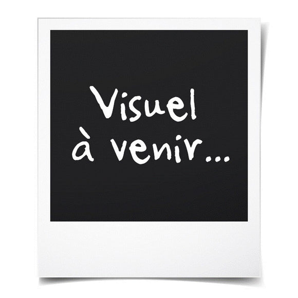 V2HF15841E75E29652CD3123F5980A336AER7424592P1
