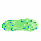 V8H5B8191372AC04F8DFF56348482F6A9E0R6623279P3