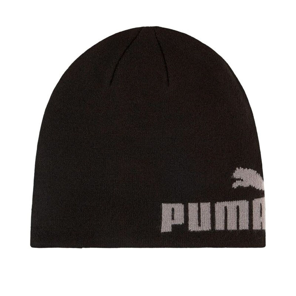 Gorro Puma 026560 01