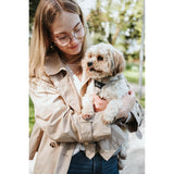 V4H45AAF7F01A6E46690EDFD19602456609R5575672P4