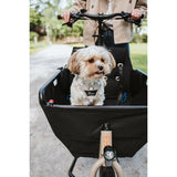 V4HDED6759B173CA3D632816A5DB18B5044R5575618P7