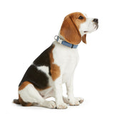 V5H58DB52759916AE03647876A6130F1AE7R5582614P2