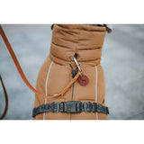 V5HC8A5A213CE7D4CAADCF10604985B7B16R5575971P7