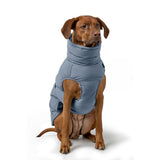 V4H9F865B965A329E6594293005EF889A9DR5575990P6