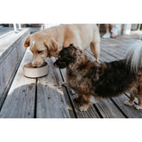 V6H15CA4A8184B12474465F927593094766R6456018P4