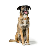 V4HBC8528F2D6D5DB3AAFAE6405A8BBFD1ER5575443P3