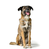 V4HB5D66971CADF5DB3A589C8F864CF8D69R5575506P5