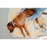 V4HCD140FD2BB2E929FC3A8A2BDE90E078CR5575510P5